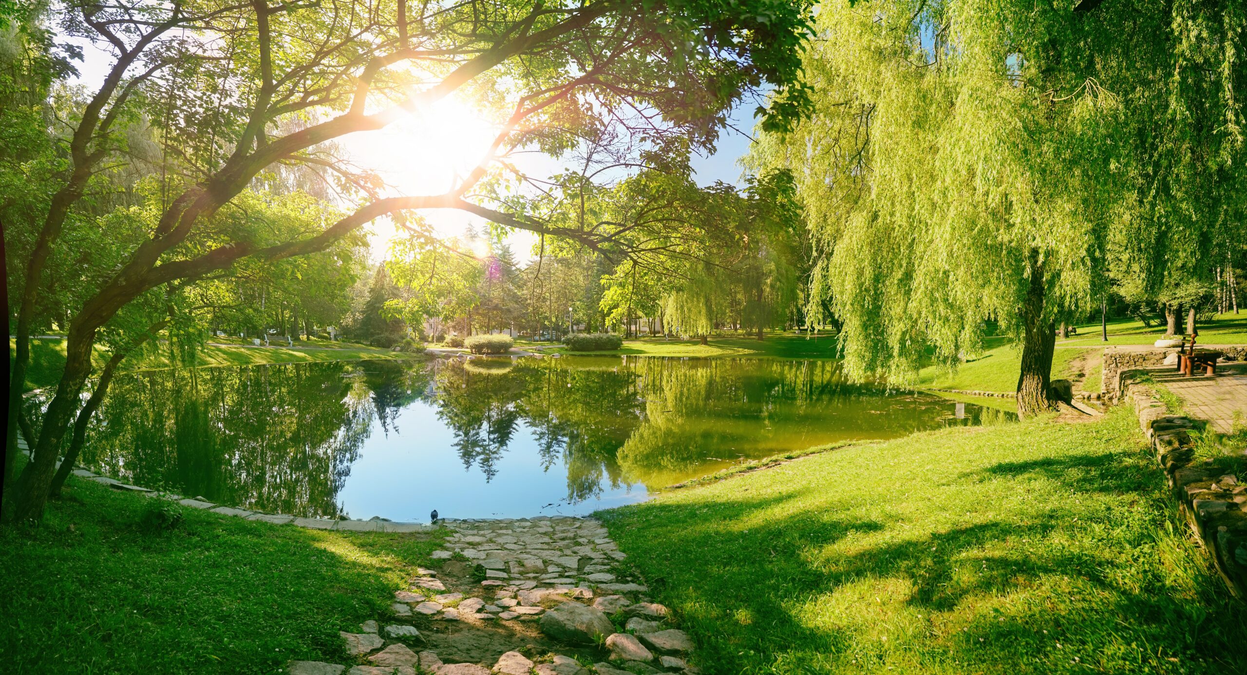 A serene park scene with a stone pathway leading to a calm, reflective pond surrounded by lush green trees and sunlight filtering through the branches.